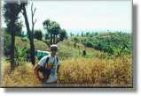 Myself, trekking in northern Thailand