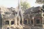 Jungle temple