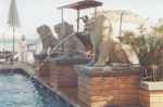 Lion fountains