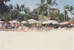 Samui beach